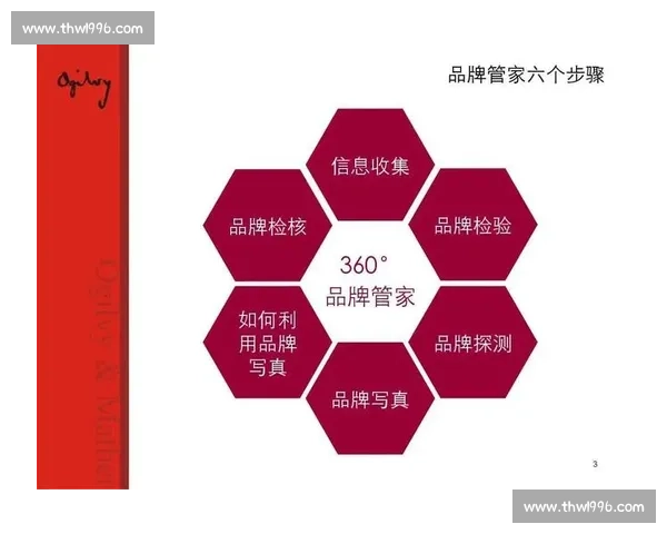 基于对手研究的竞争策略优化与市场定位分析