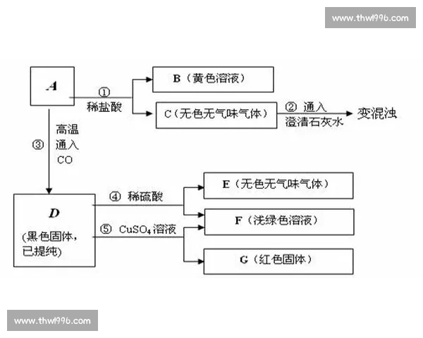 提升反应速度的关键策略与实用技巧分析