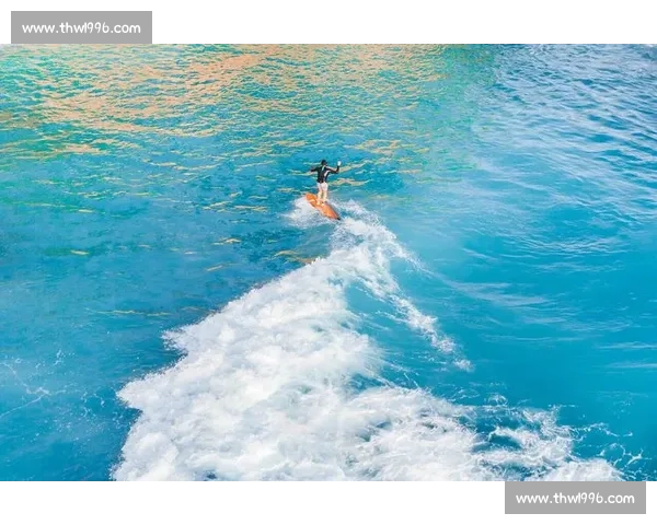 激浪之巅：探索冲浪运动的技巧与极限挑战全纪录